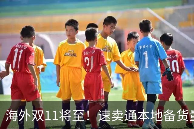 海外双11将至！速卖通本地备货量大涨146%，将举行万人商家大会